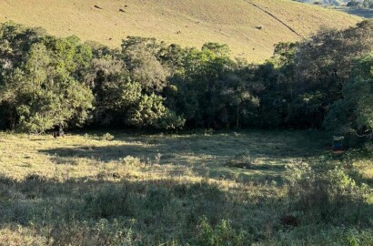 Área rural para venda em Dom Viçoso MG
