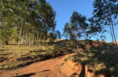 Área rural para venda em Dom Viçoso MG