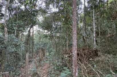 Área rural para venda em Dom Viçoso MG