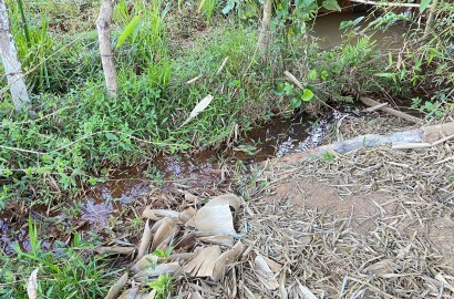 Linda área rural para venda em Dom Viçoso MG.