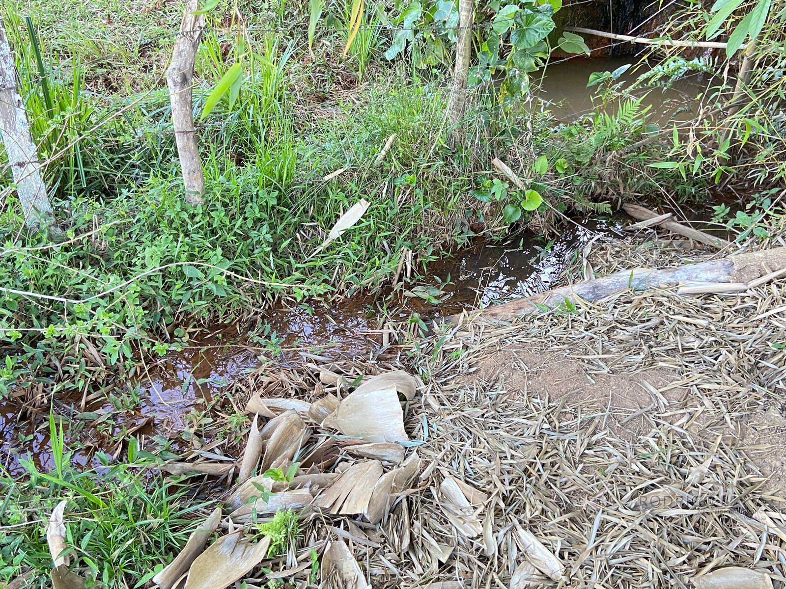 Linda área rural para venda em Dom Viçoso MG.