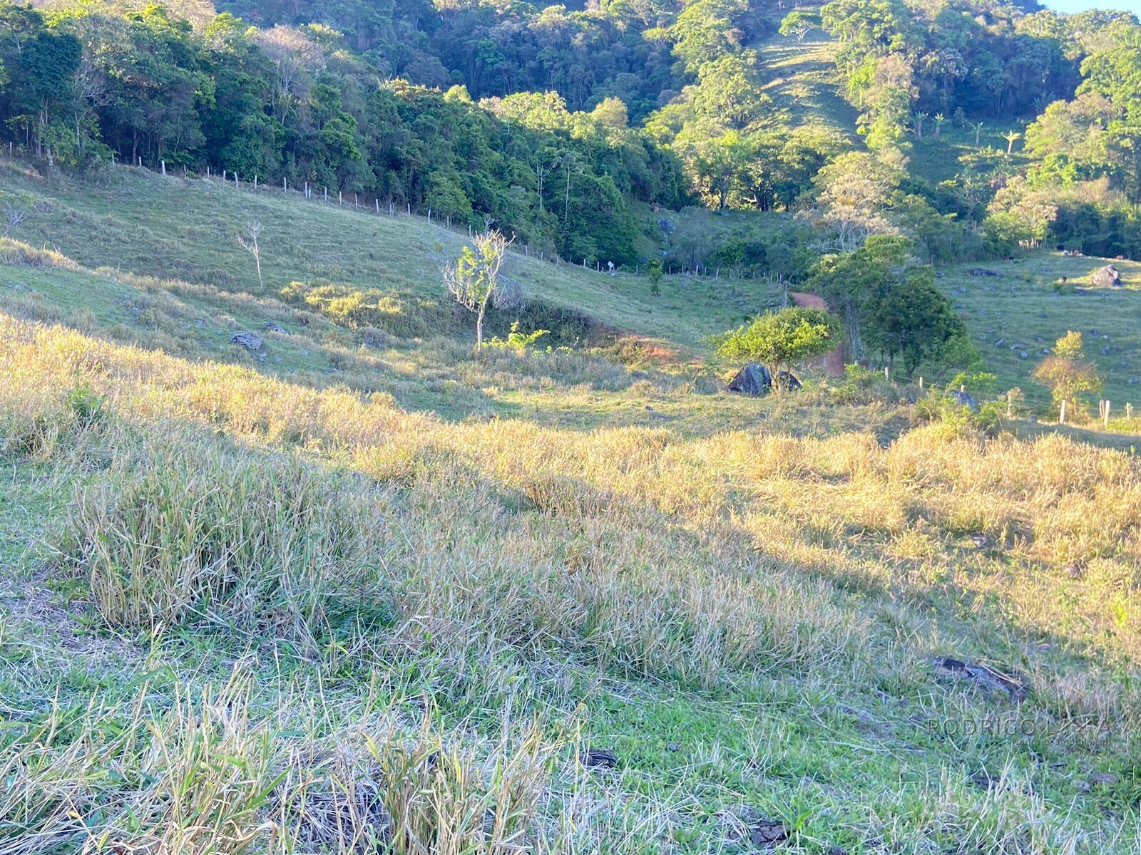Linda área rural para venda em Dom Viçoso MG.