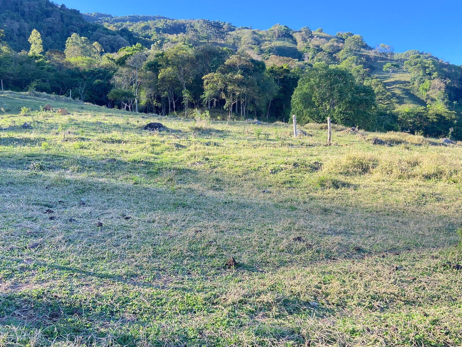 Linda área rural para venda em Dom Viçoso MG.