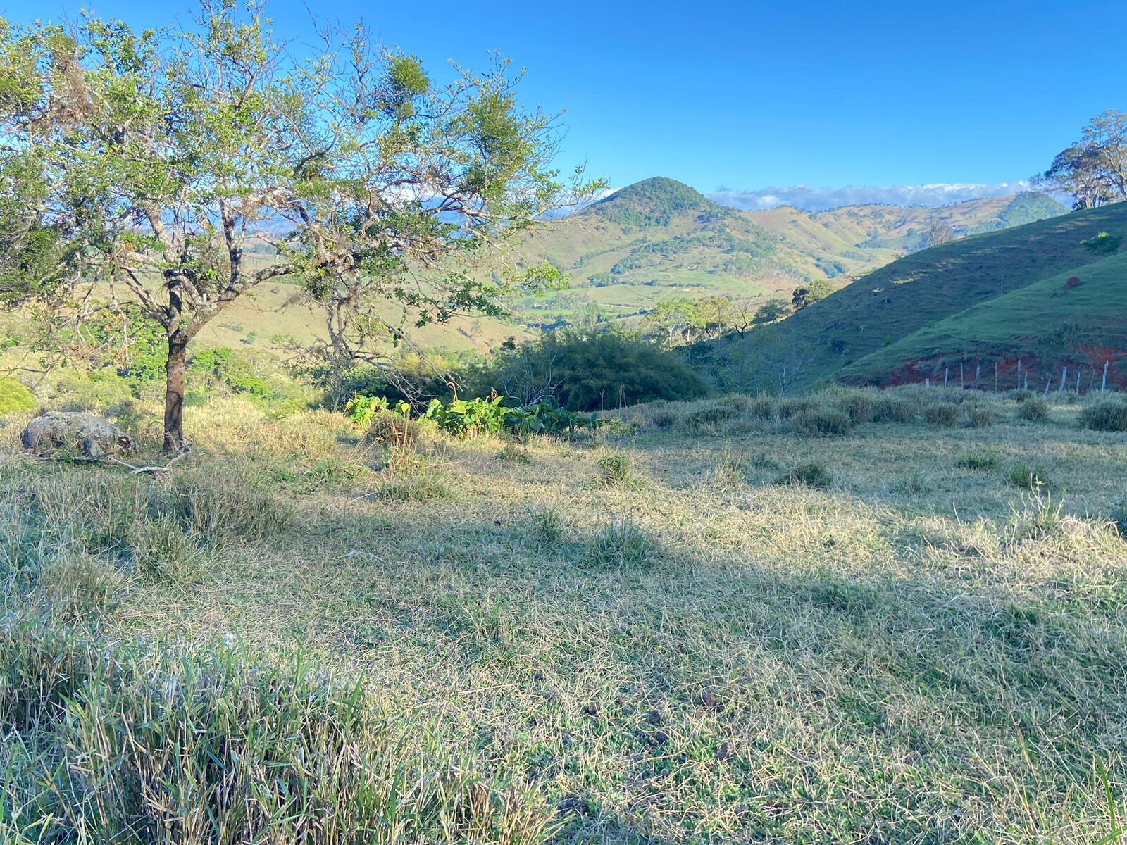 Linda área rural para venda em Dom Viçoso MG.