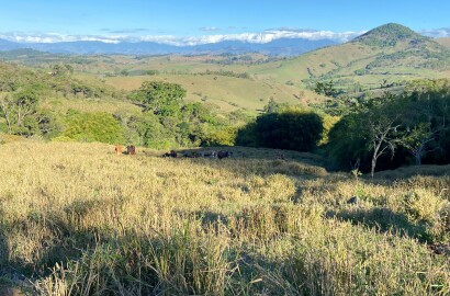 Linda área rural para venda em Dom Viçoso MG.