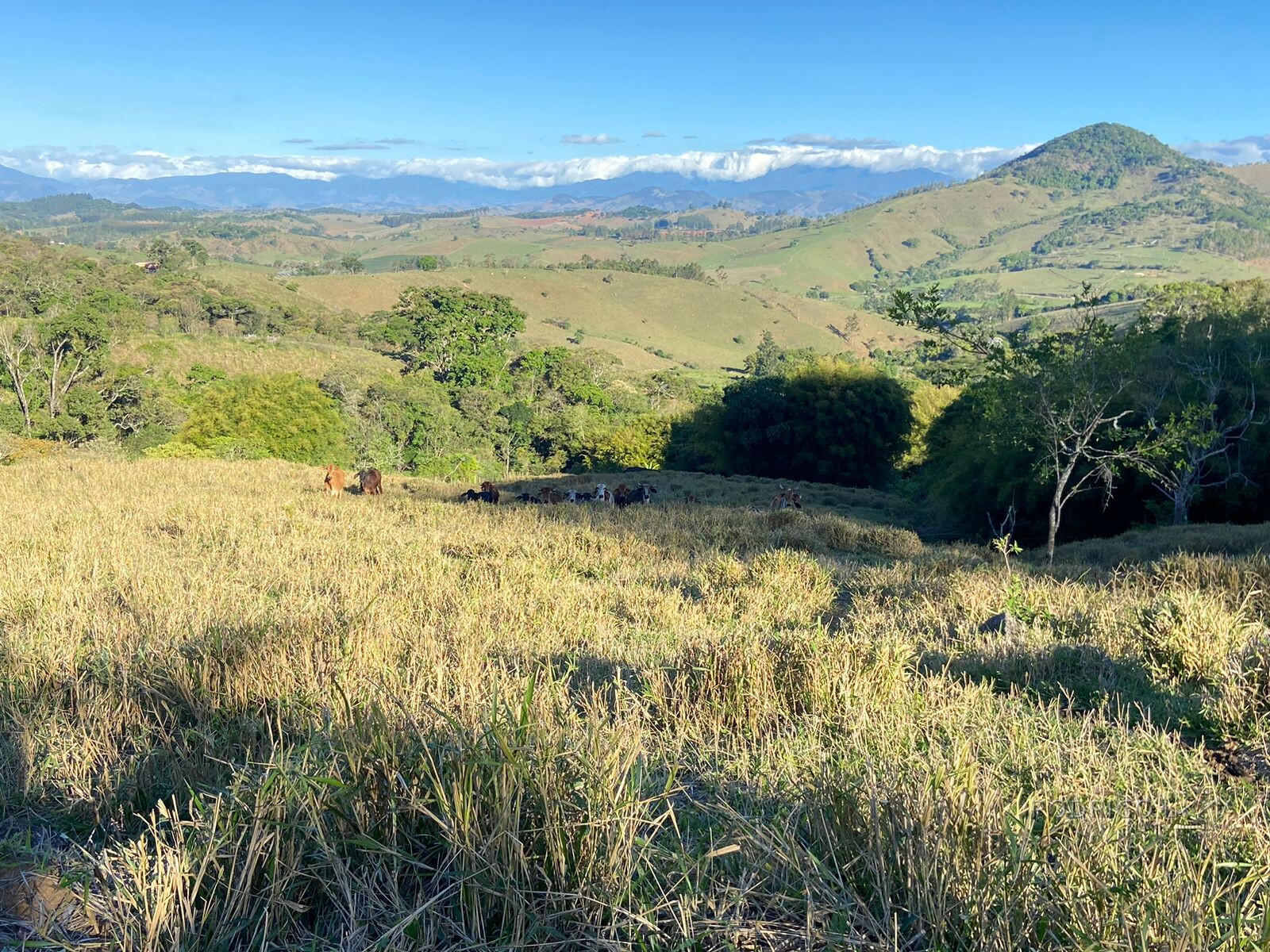 Linda área rural para venda em Dom Viçoso MG.
