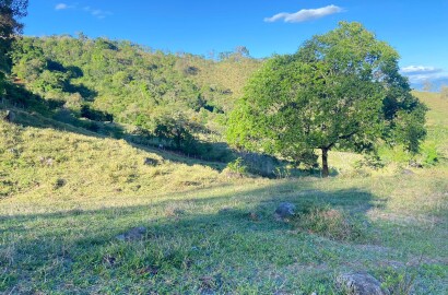 Linda área rural para venda em Dom Viçoso MG.