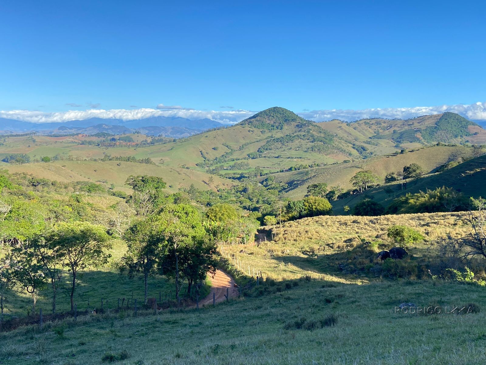 Linda área rural para venda em Dom Viçoso MG.