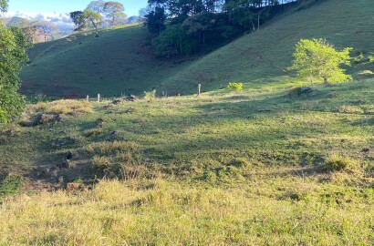 Linda área rural para venda em Dom Viçoso MG.