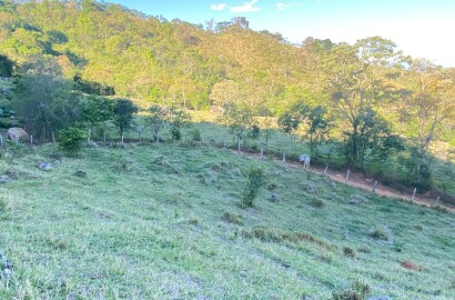 Linda área rural para venda em Dom Viçoso MG.