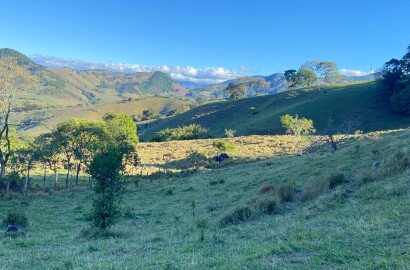 Linda área rural para venda em Dom Viçoso MG.