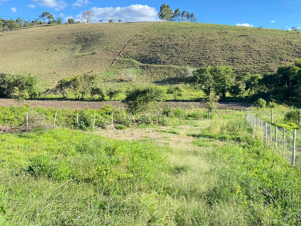 Área rural para venda próximo a São Lourenço MG.