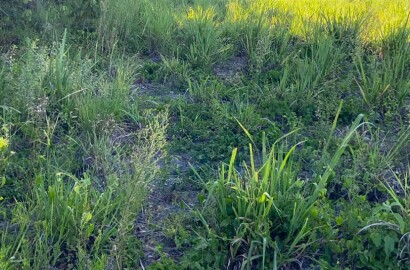 Área rural para venda próximo a São Lourenço MG.