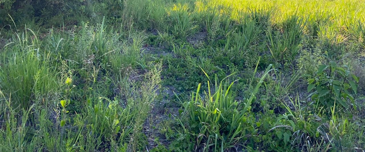 Área rural para venda próximo a São Lourenço MG.