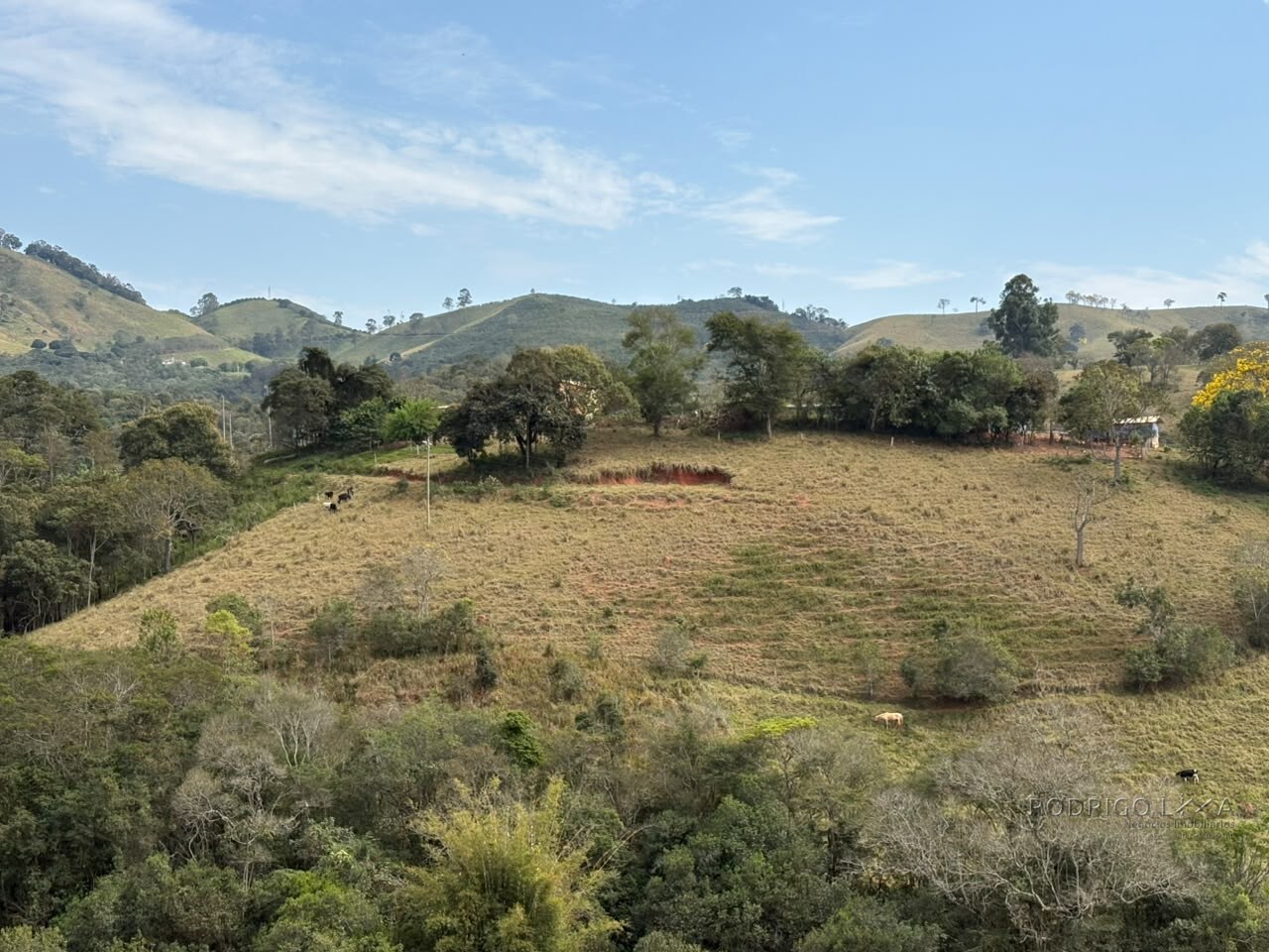 Sítio para venda em Dom Viçoso MG