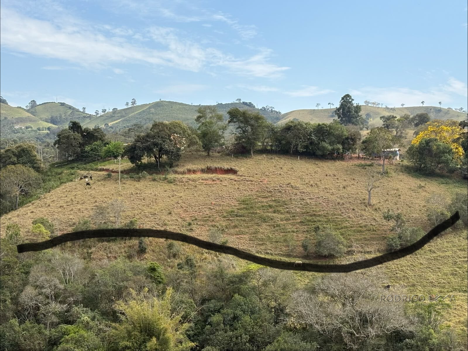 Sítio para venda em Dom Viçoso MG