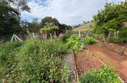 Sítio para venda em Dom Viçoso MG