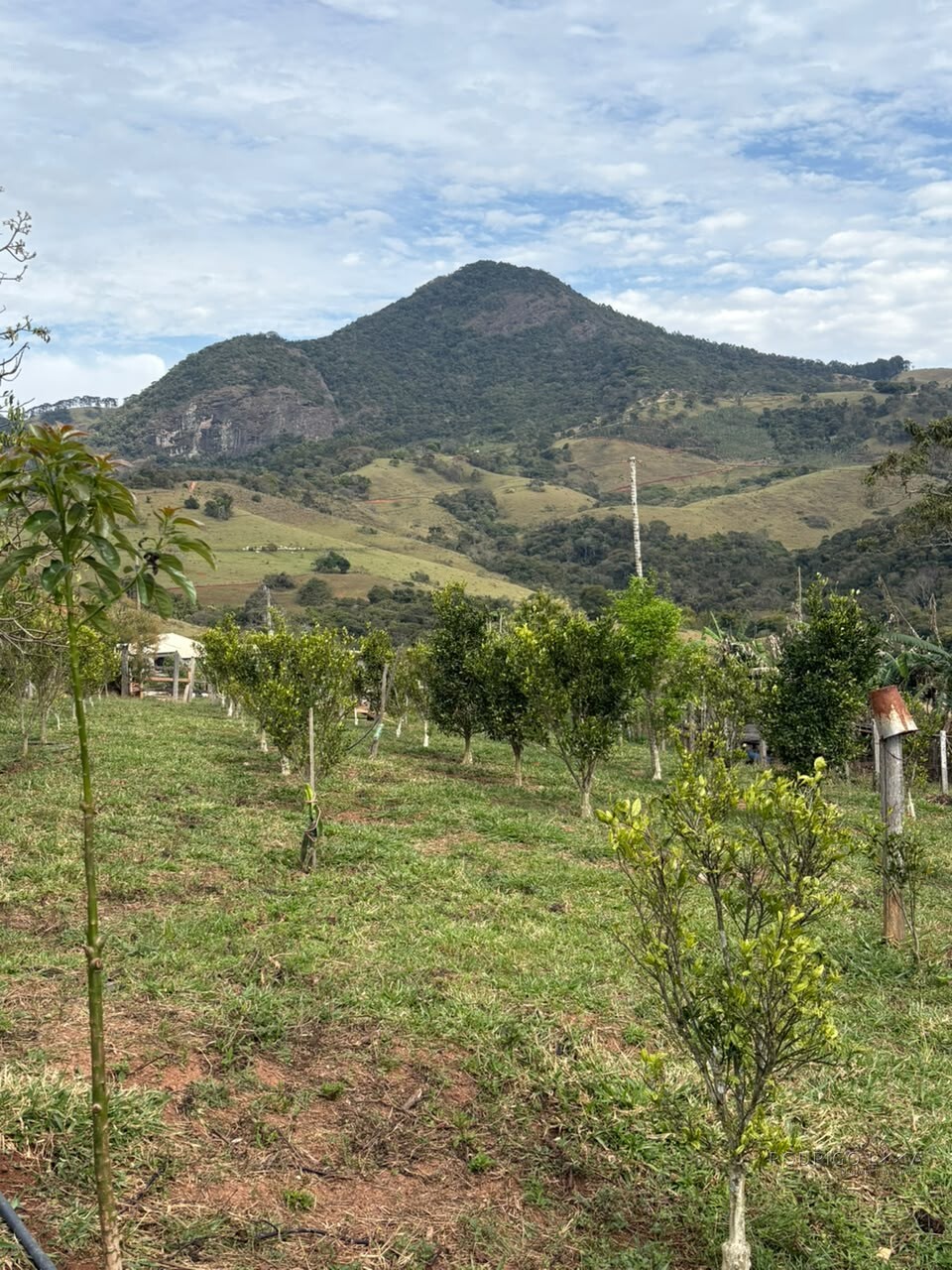 Sítio para venda em Dom Viçoso MG