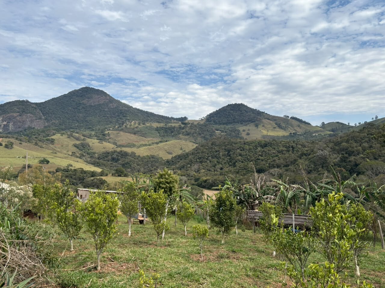 Sítio para venda em Dom Viçoso MG