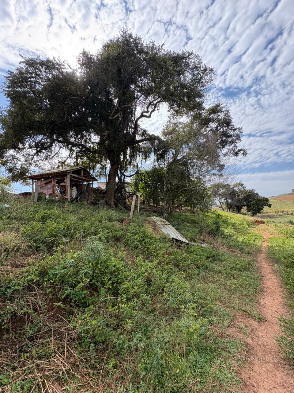 Sítio para venda em Dom Viçoso MG