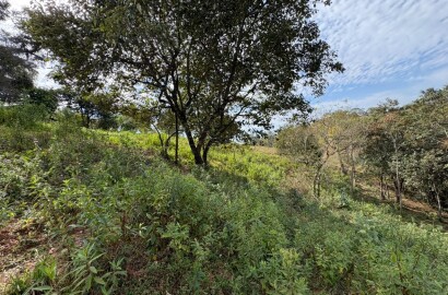 Sítio para venda em Dom Viçoso MG