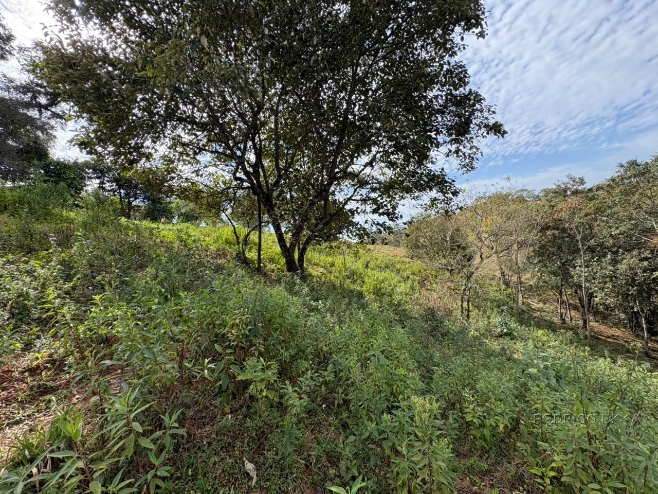Sítio para venda em Dom Viçoso MG