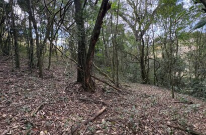 Sítio para venda em Dom Viçoso MG