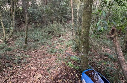Sítio para venda em Dom Viçoso MG