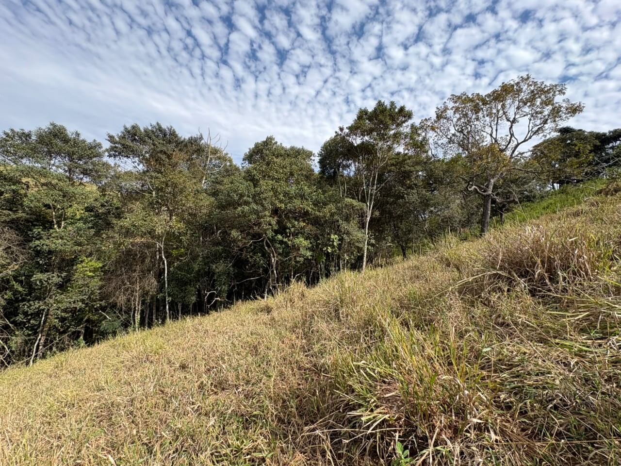 Sítio para venda em Dom Viçoso MG