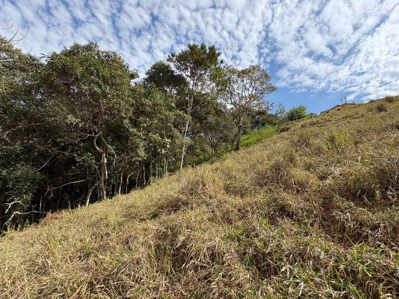Sítio para venda em Dom Viçoso MG