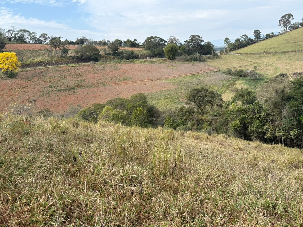 Sítio para venda em Dom Viçoso MG