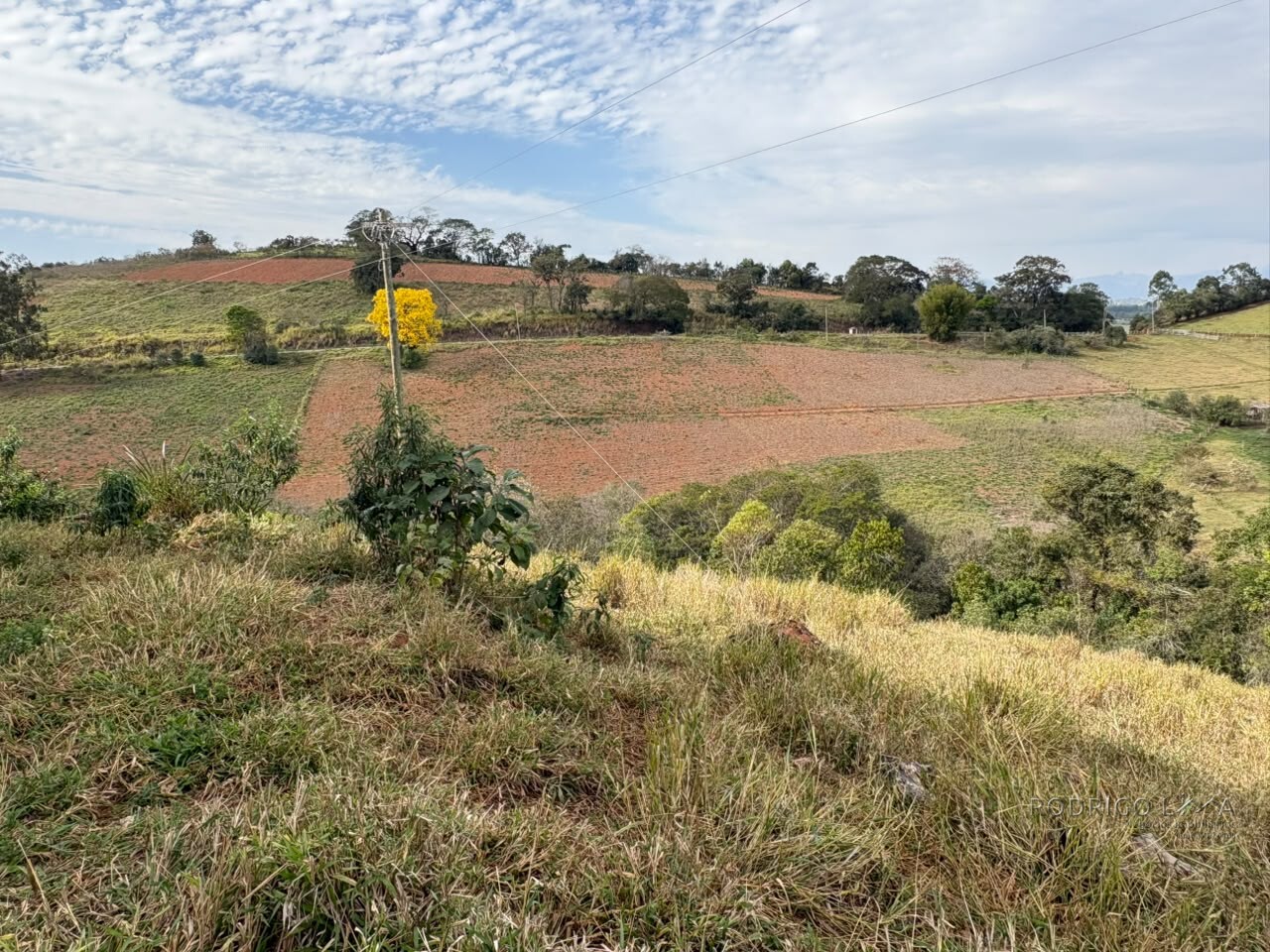 Sítio para venda em Dom Viçoso MG