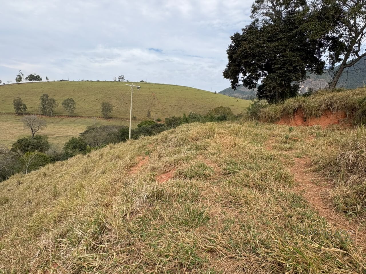 Sítio para venda em Dom Viçoso MG