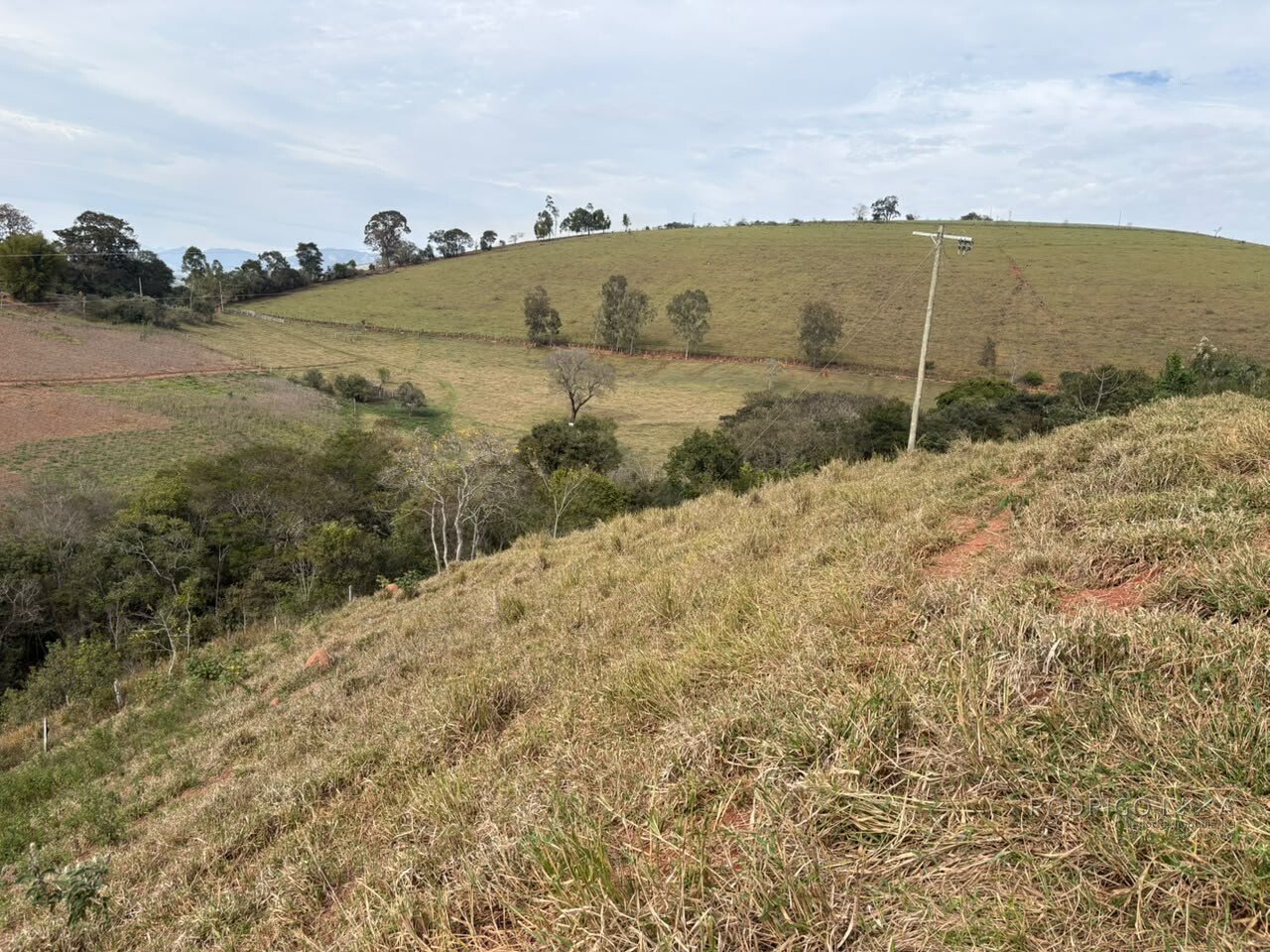 Sítio para venda em Dom Viçoso MG