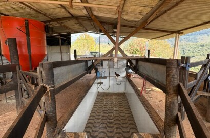 Sítio para venda em Dom Viçoso MG