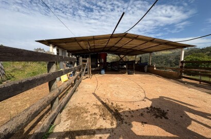 Sítio para venda em Dom Viçoso MG