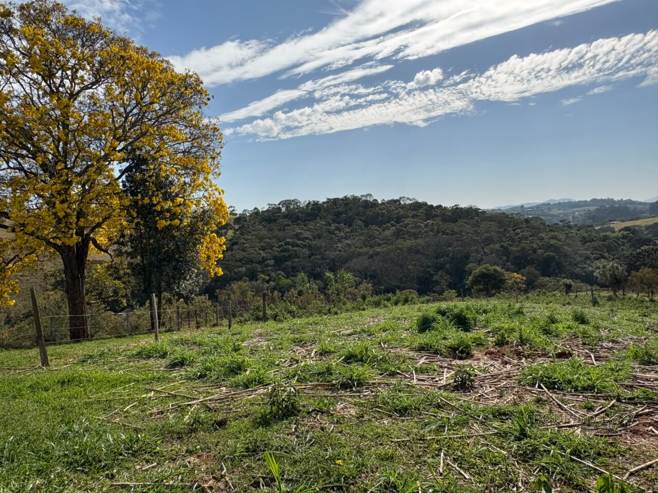 Sítio para venda em Dom Viçoso MG