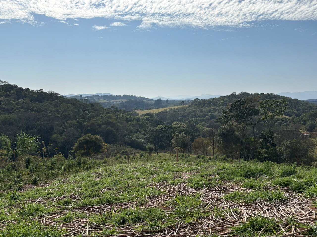 Sítio para venda em Dom Viçoso MG