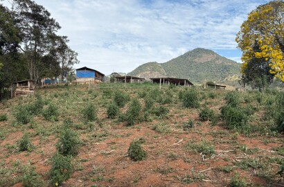 Sítio para venda em Dom Viçoso MG