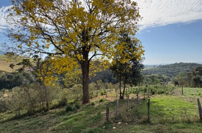 Sítio para venda em Dom Viçoso MG