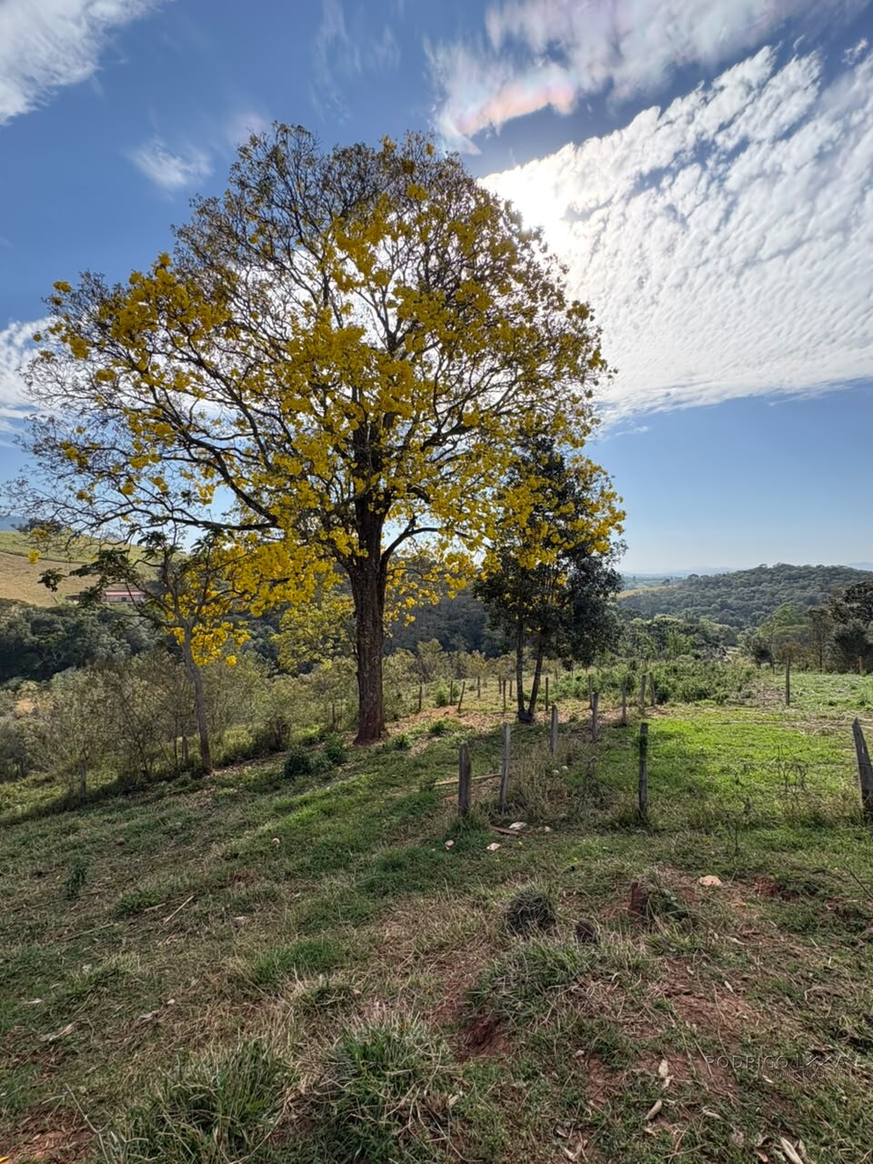 Sítio para venda em Dom Viçoso MG