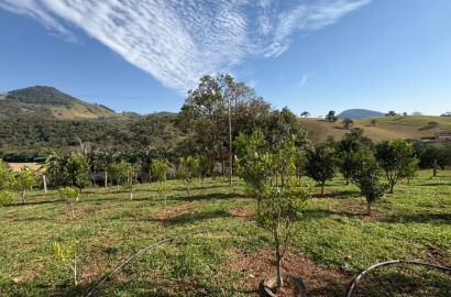 Sítio para venda em Dom Viçoso MG