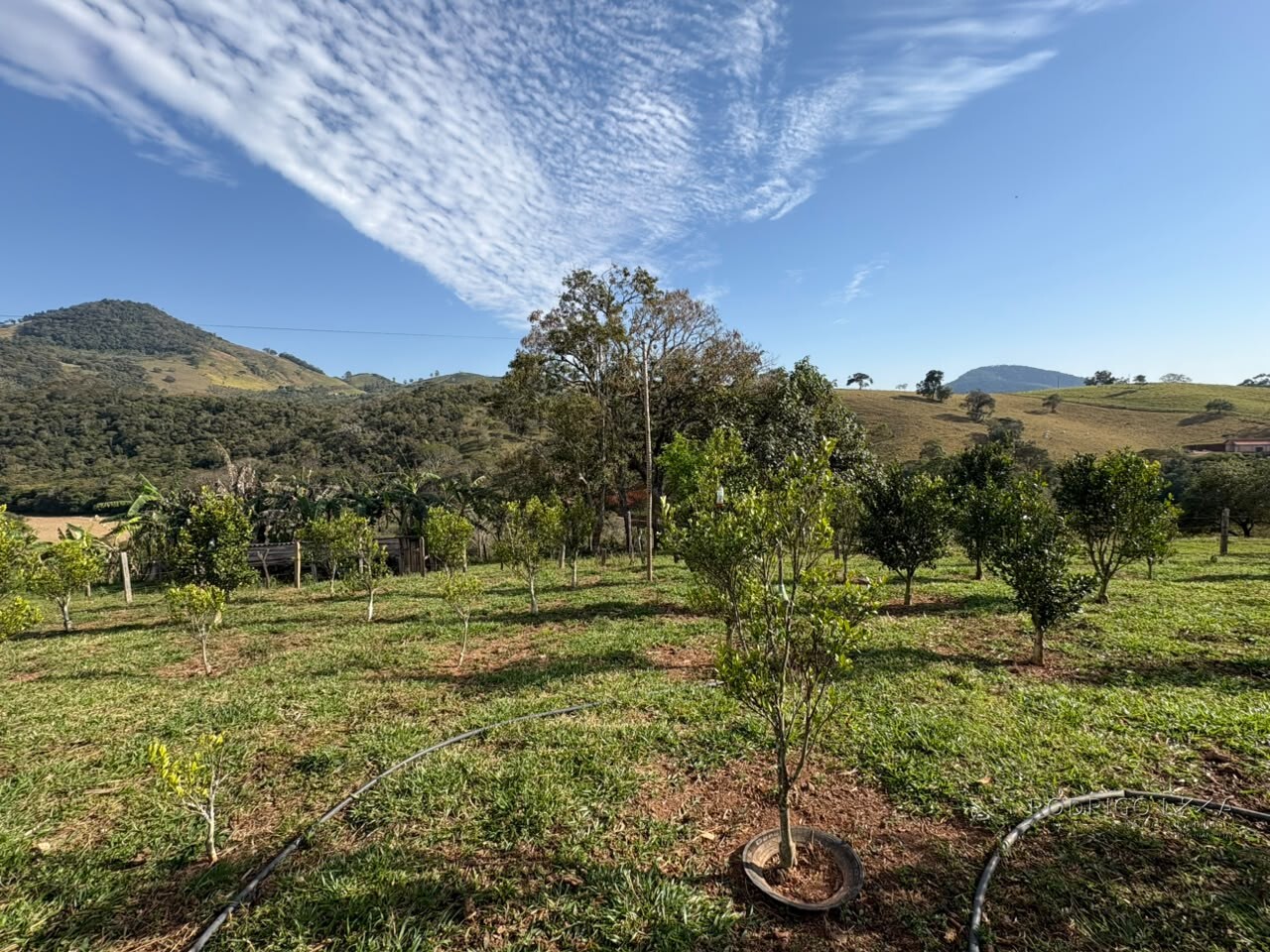 Sítio para venda em Dom Viçoso MG
