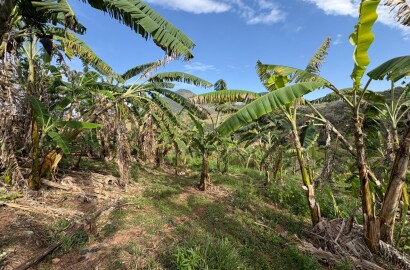 Sítio para venda em Dom Viçoso MG