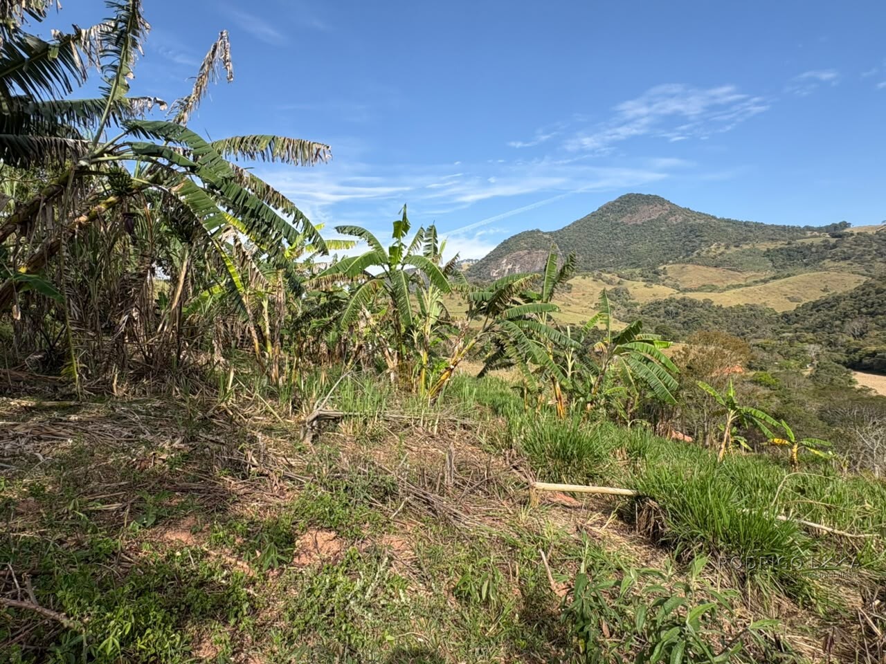 Sítio para venda em Dom Viçoso MG