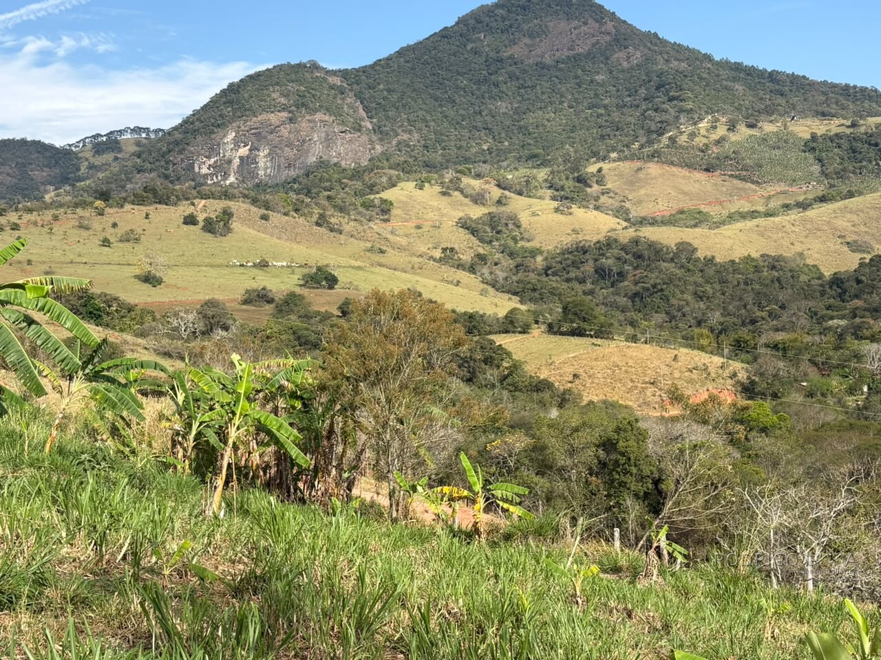Sítio para venda em Dom Viçoso MG