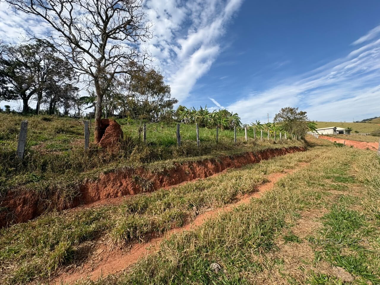 Sítio para venda em Dom Viçoso MG