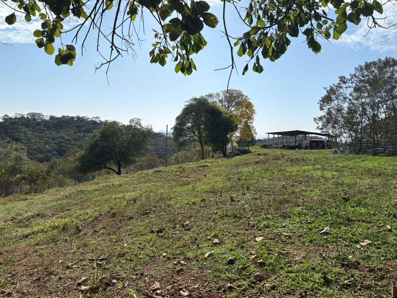 Sítio para venda em Dom Viçoso MG