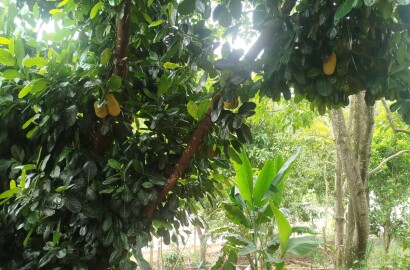 Chácara para venda em Pouso Alto MG.