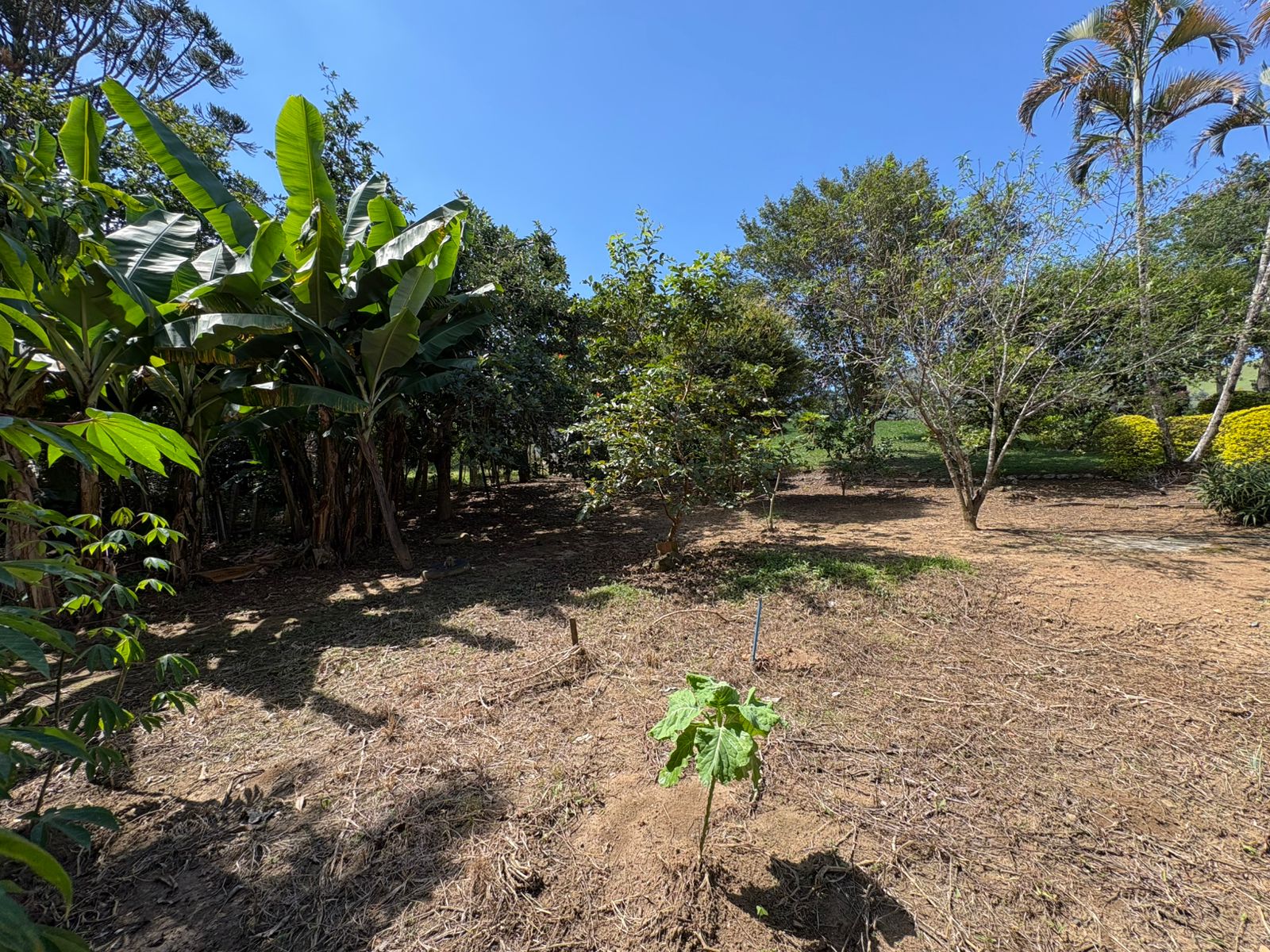 Casa para venda em Dom Viçoso MG